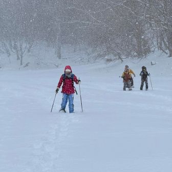 沼の上を歩く🚶