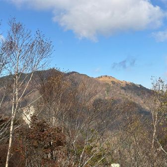 白谷ノ丸方面