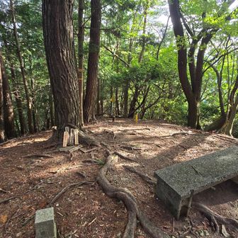 登り口から５分ほどで山頂ですが、何もない