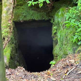 風穴が本当に天然のクーラー以上の冷気でびっくり