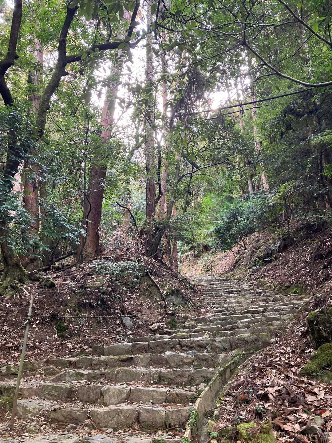 ずーっとこんな感じ💦
でも地元の人やろけど、普段着の方と沢山すれ違いましたよ