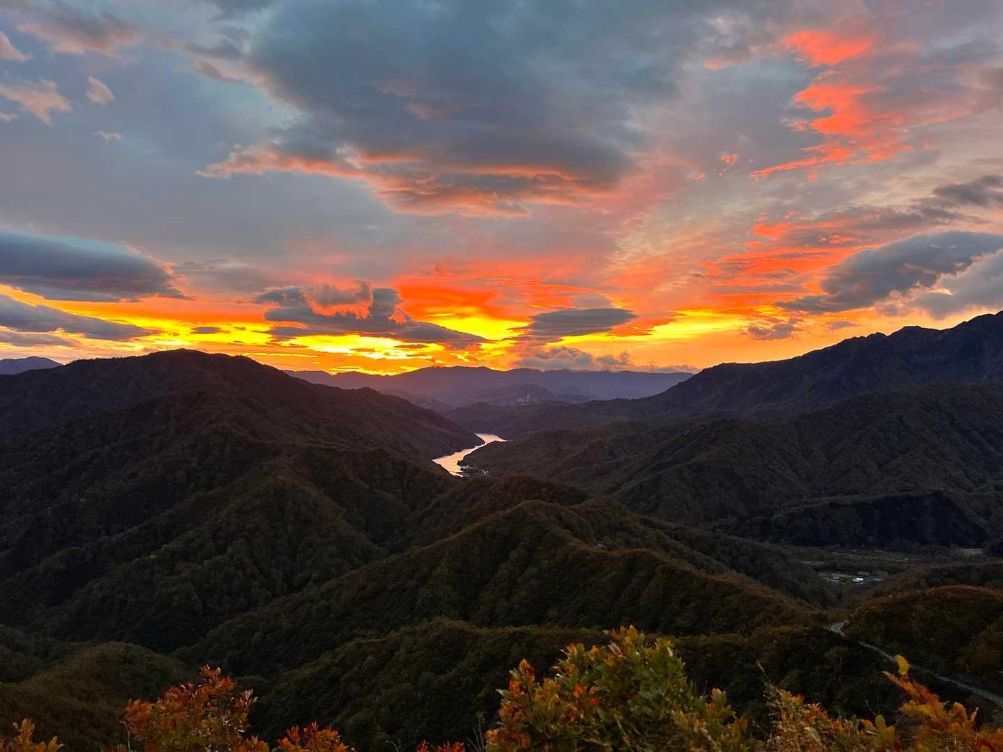 枝折峠-明神峠-道行山 往復コースの写真