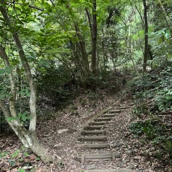 一度下山して2本目。
2本目は直登（山道）