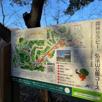 今日は森林セラピーコース