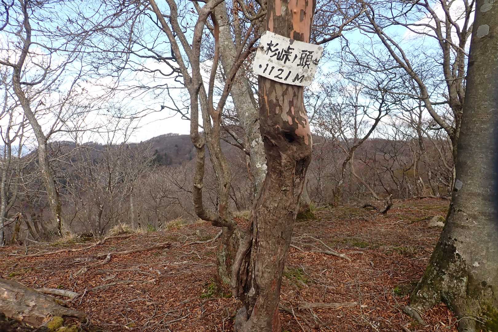 杉峠ノ頭ピーク