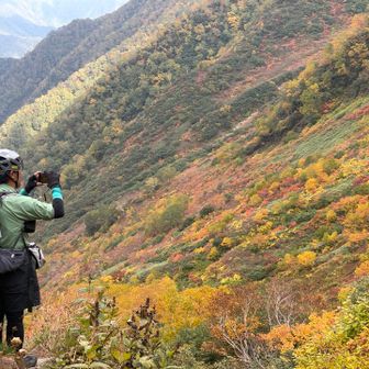途中の紅葉が素晴らしい。