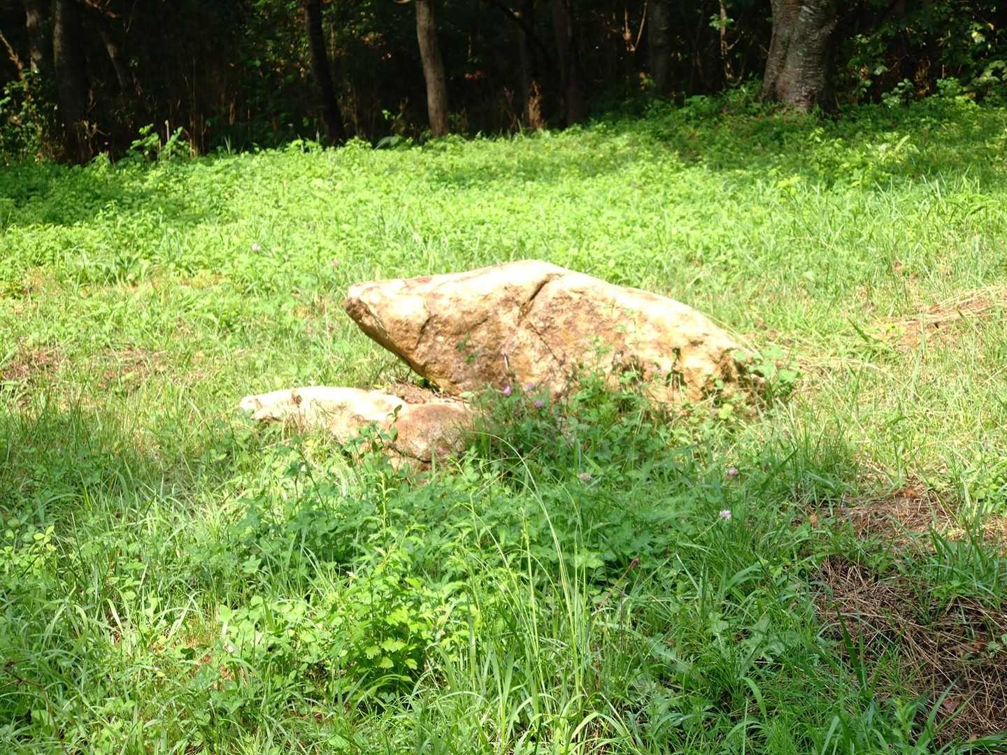 怪獣!?の頭みたいー。前からみるとただの3つ重なる石でした笑笑