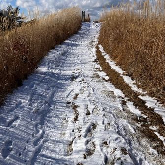 積雪は3〜4cm   山頂脇トイレの簡易水洗は凍っていませんでした。　手洗い用の水は無いトイレだけど、真っ白な雪を手で揉んで完了