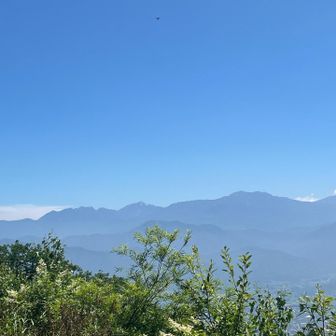 林道終着から甲斐駒ヶ岳、⛰️仙丈ヶ岳⛰️