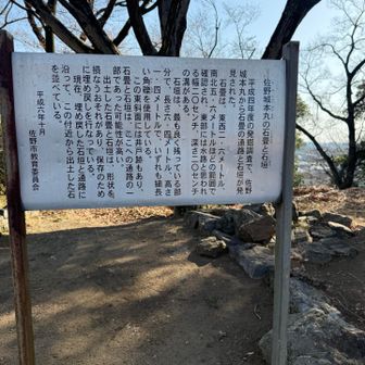 佐野城の跡だったのですね