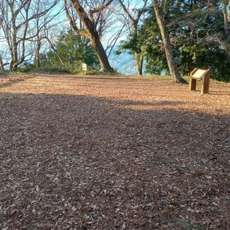 まさかの這々の体で🤣津久井城山とうちゃこ！