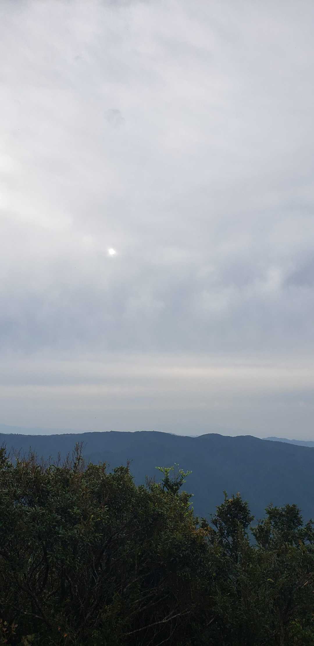矢筈岳 往復コースの写真