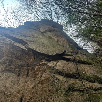 裏に回ってみた