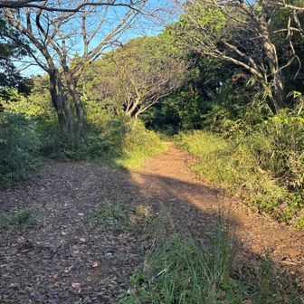 天園……？
この辺り道が多くてよく分からず。
少し下がると案内はあった。