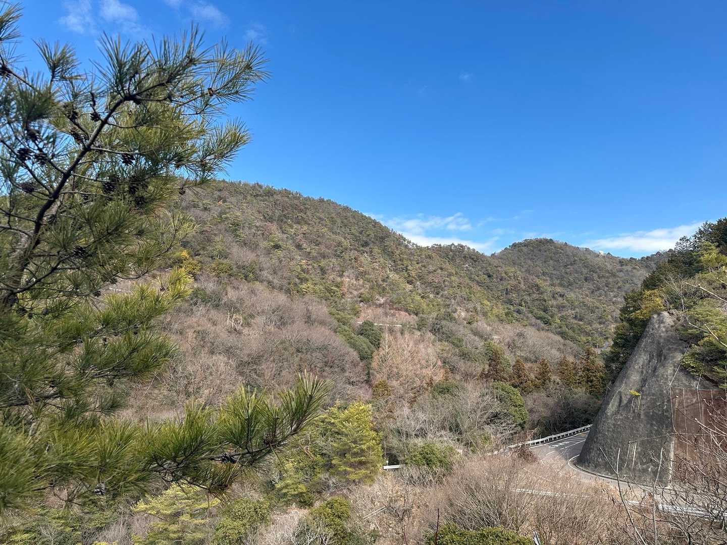 多賀坂峠-迫間山-金比羅山 周回コースの写真