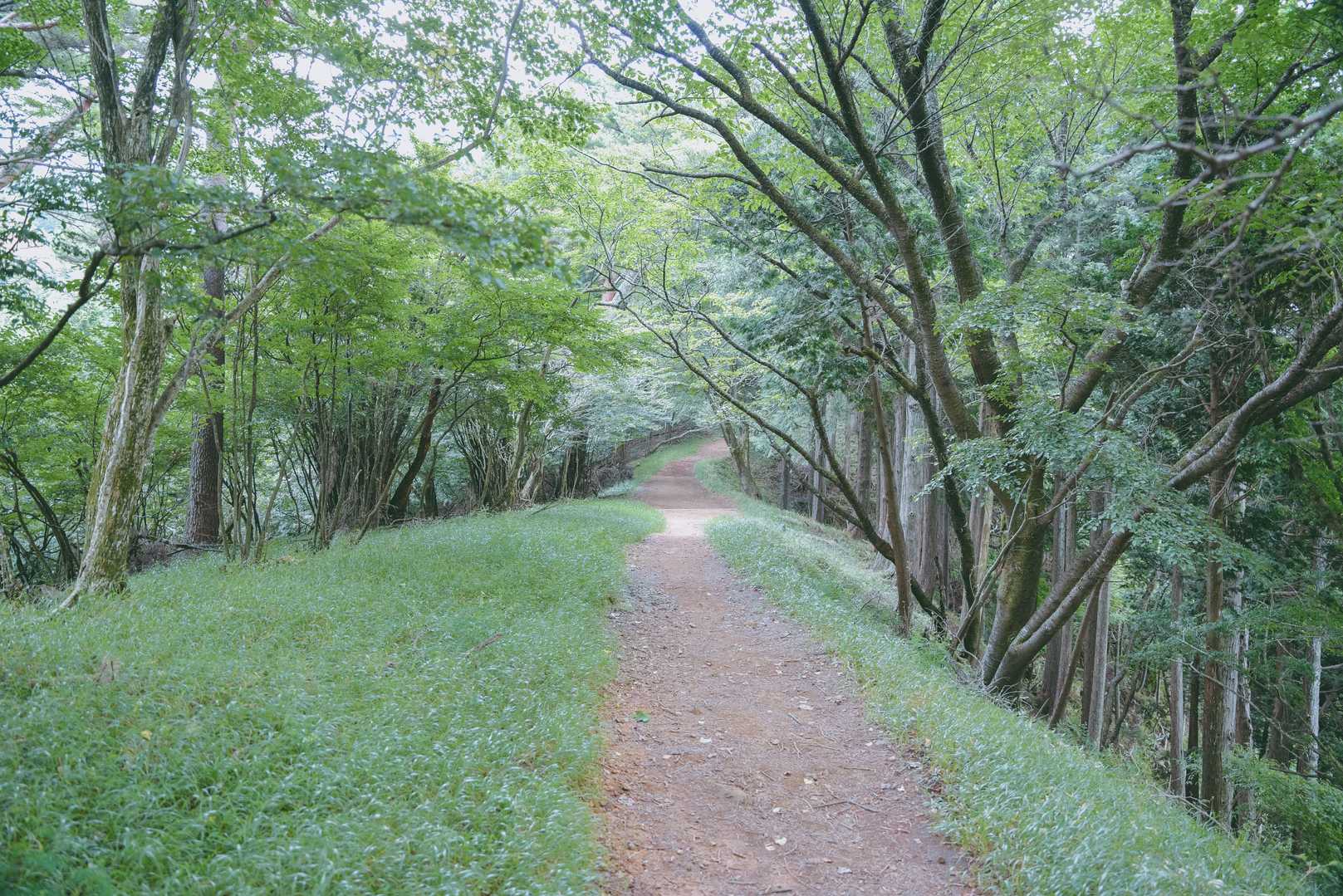 誰もいない