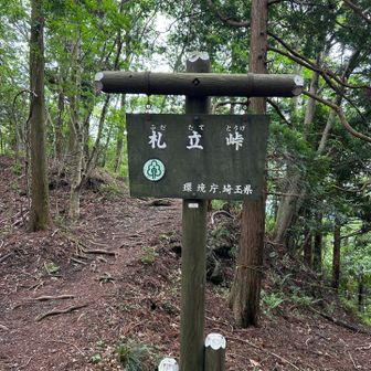 札立峠、到着　小さな観音様が居られました。