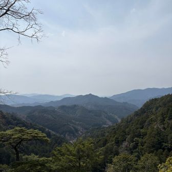 登った先は、とても綺麗でした