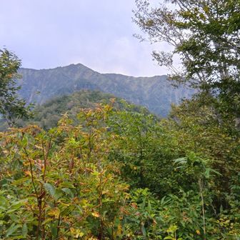 ようやく、山頂とご対面
