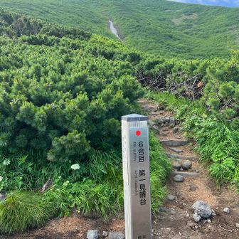 六合目