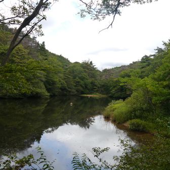かわうそ池