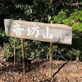 三角点どこだろう🤔
見渡すが分からず💦