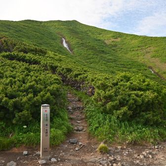 まだまだ