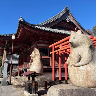 屋島寺本堂のそばに、たぬさんたち