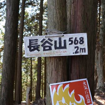長谷山🙌
ここを右に下るルートもあるようですが、危険と書かれてました。