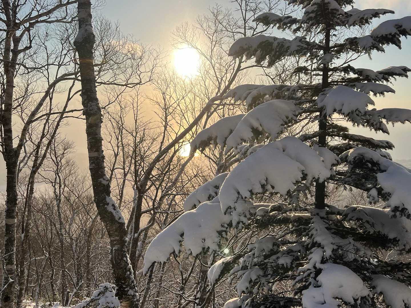 カムイヌプリ登山口-カムイヌプリ 往復コースの写真