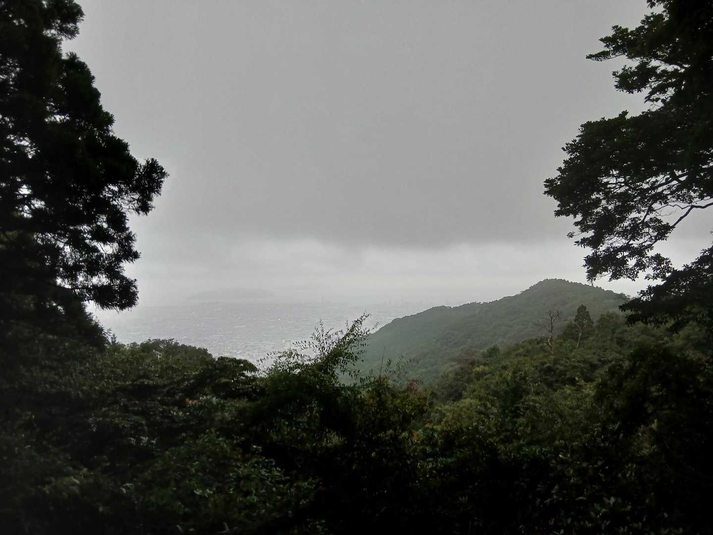 油山往復 | 福岡市街を見渡す定番ルートの写真