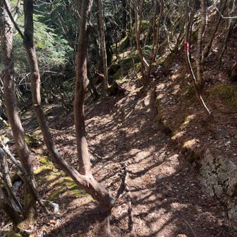 前御座山からは一旦下ります🥾