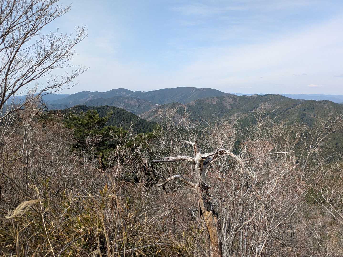 山頂からの景色