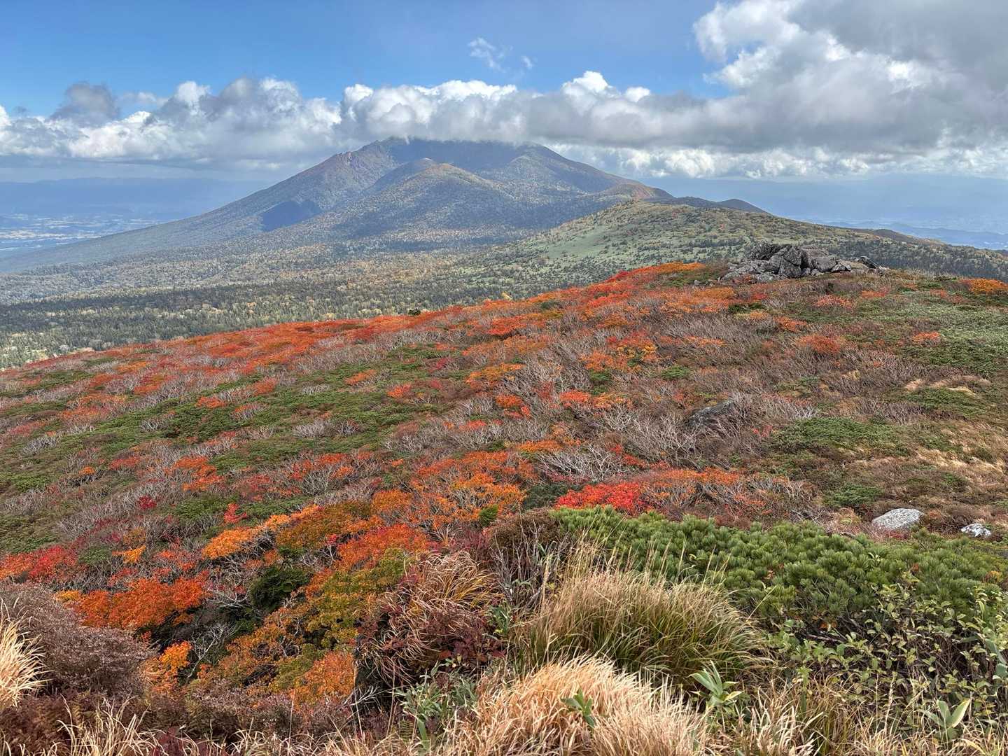 三ツ石山 2026-10-02 / ラベンダー翡翠の登山データ | YAMAP / ヤマップ