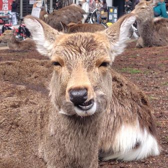 そうさん