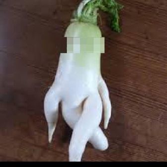 ポルクル