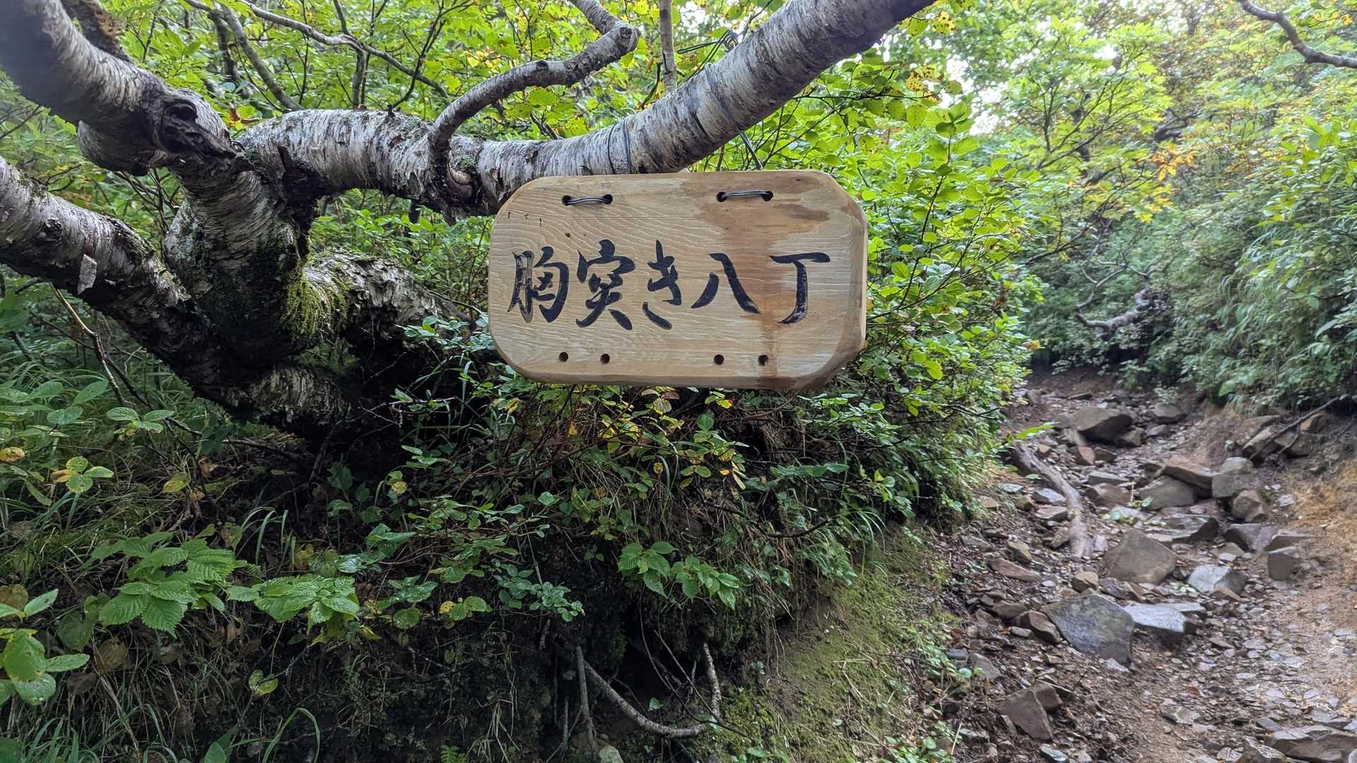 名前負けする胸突き八丁多い説