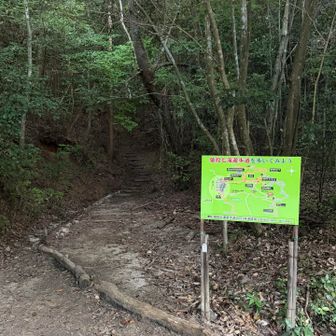 一旦、舗装路横切るところ。。
虫がブンブン🐝、、耳元で、、
気になって、、😰
頭から、手拭いかぶる(笑