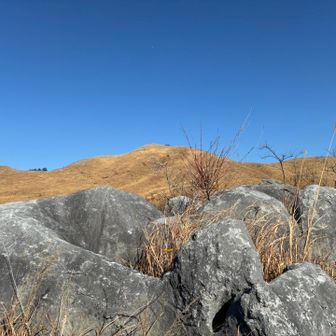 久しぶりに貝殻山頂上にやって来ました
ぐるり360℃のパノラマを楽しみます

一部トレイルが不明瞭ですが
踏み跡はちゃんとありました
野焼きが終われば
もっと歩きやすくなりそうです