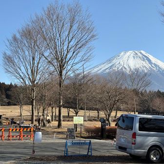 賑やかな道の駅でした
