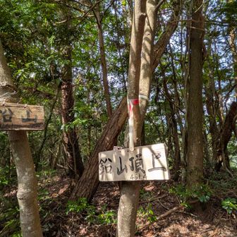 山頂なのに景色ないと文句を言う娘
