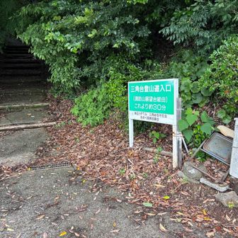 ここから入って行く