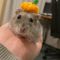 ちょたくん