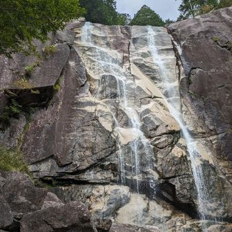 マックスデラックス