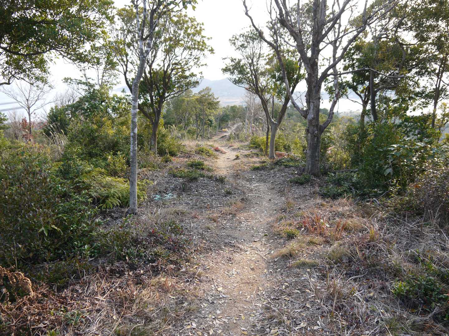 安全安心、時短登山にオススメです。