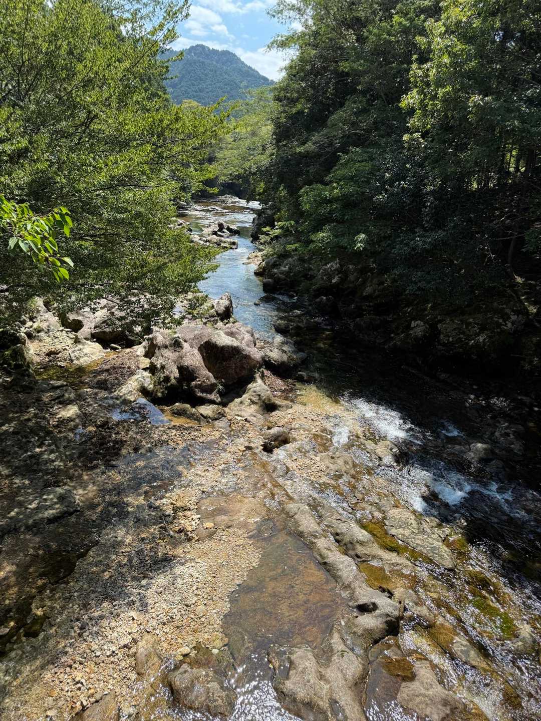 きれいな河原をすすみます✨