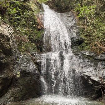 下山途中に伏見の滝に立ち寄り！