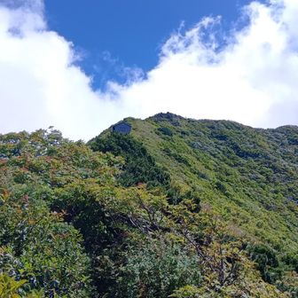 青と緑と白のコントラスト