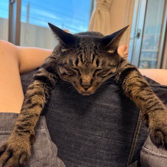 チャーノ･ケン