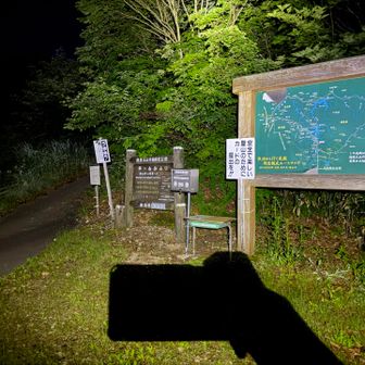 ヘッデンスタート
ロングコースなので暗いうちから出発する方々多め